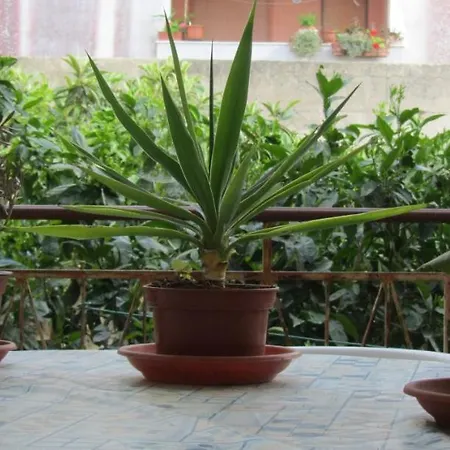 Bed & Breakfast Alice