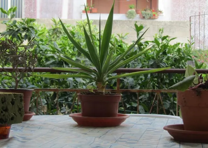 Bed & Breakfast Alice